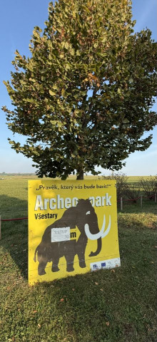 Cesta do pravěku (Archeopark Všestary - 6.D)